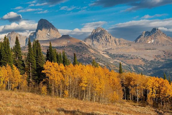 Landscape of Mt Owen-Grand Teton and Middle Teton from the west-golden fall foliage